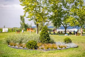 campsite-image