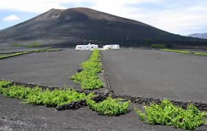 campsite-image campsite-image