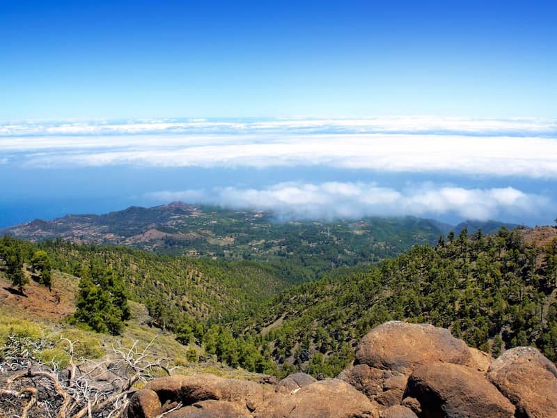 image126179 image126179