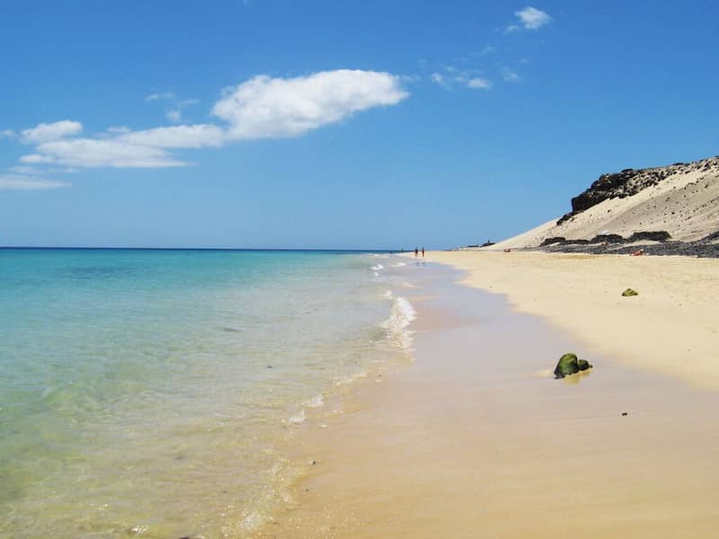 image125988 image125988