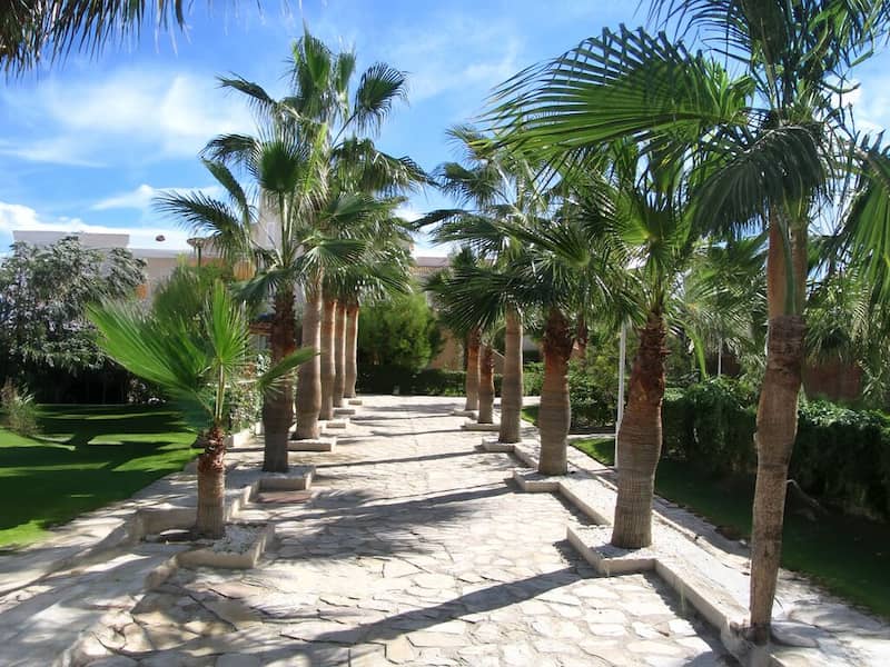 image126151 image126151