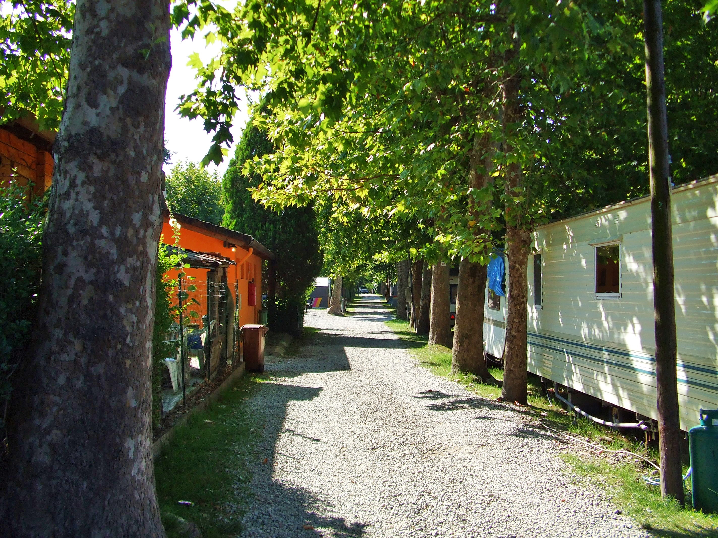 Camping Lido di Sesto — 4