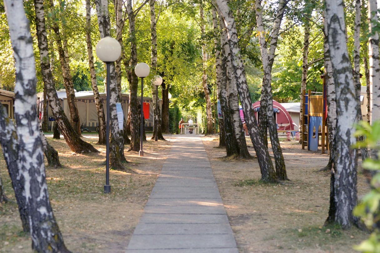 Camping Sassabanek — 5