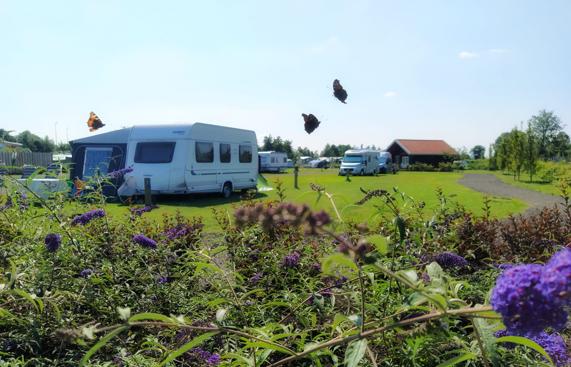 Natuurlijk de Veenhoop — 5
