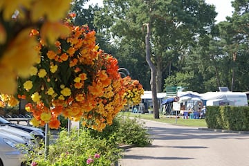 Camping De Somerense Vennen - Image 1