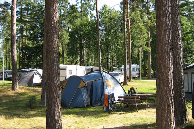 Campsite photo 1