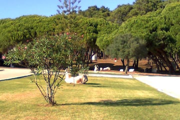 Camping Orbitur Sagres Camping Orbitur Sagres