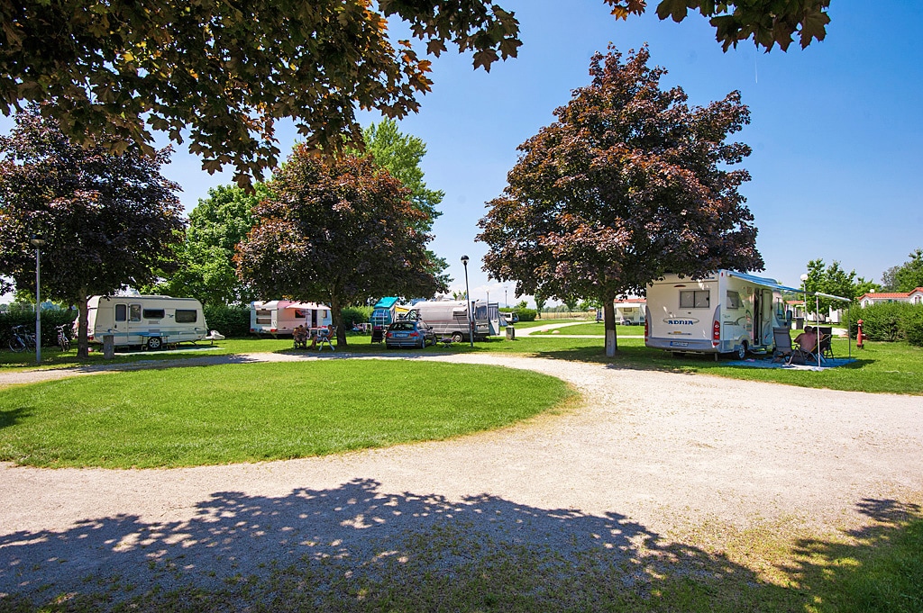 Camping Terme Ptuj — 5
