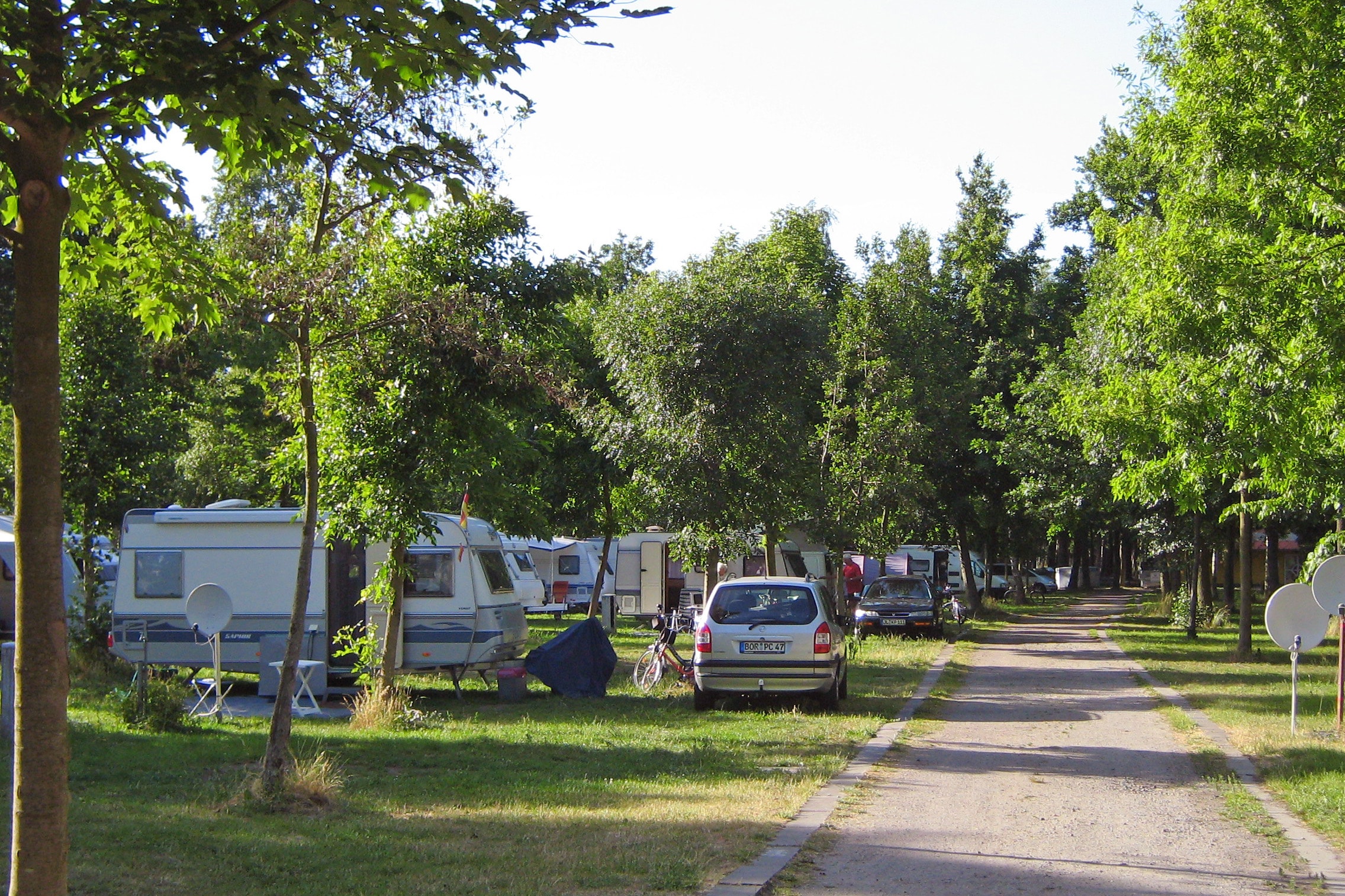 fumatte camping Camping-Nachthimmel Fumatte: Jetzt kaufen und Camping-Begeisterung zeigen!   trendaffe.de