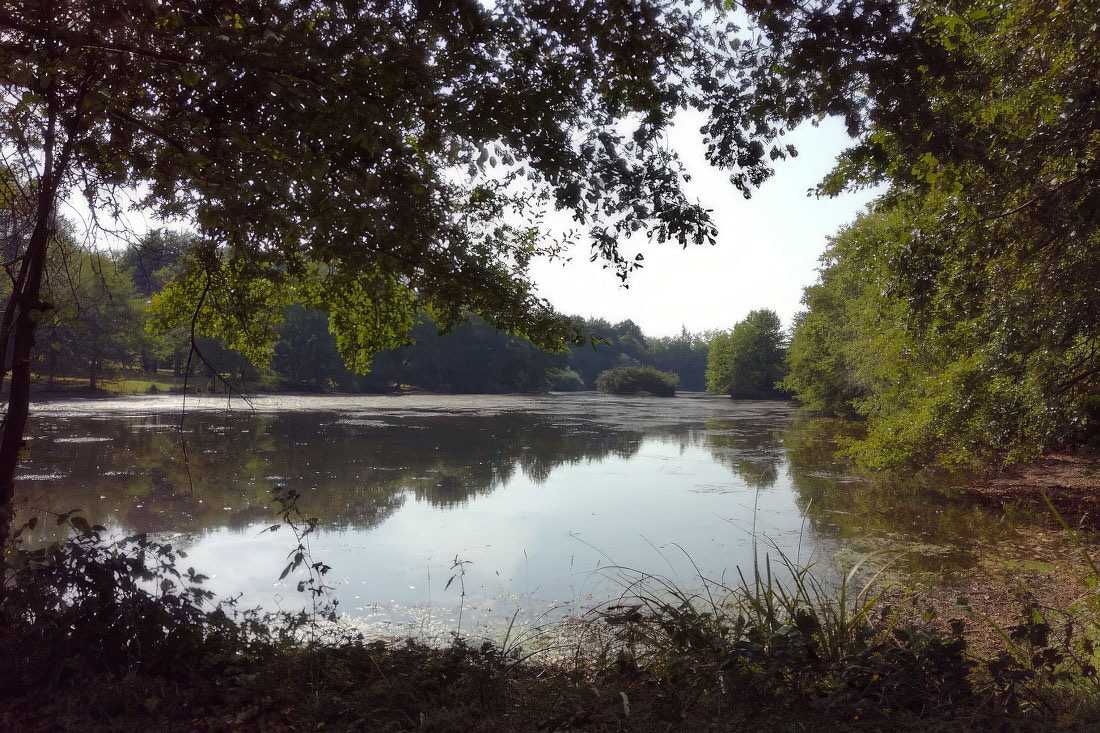 Camping Le Deffay — 5