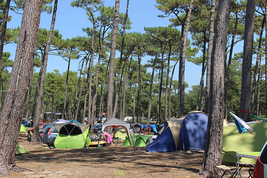 Campingplatz in Moliets-Plage | Frankreich | Jetzt suchen - ACSI  Eurocampings