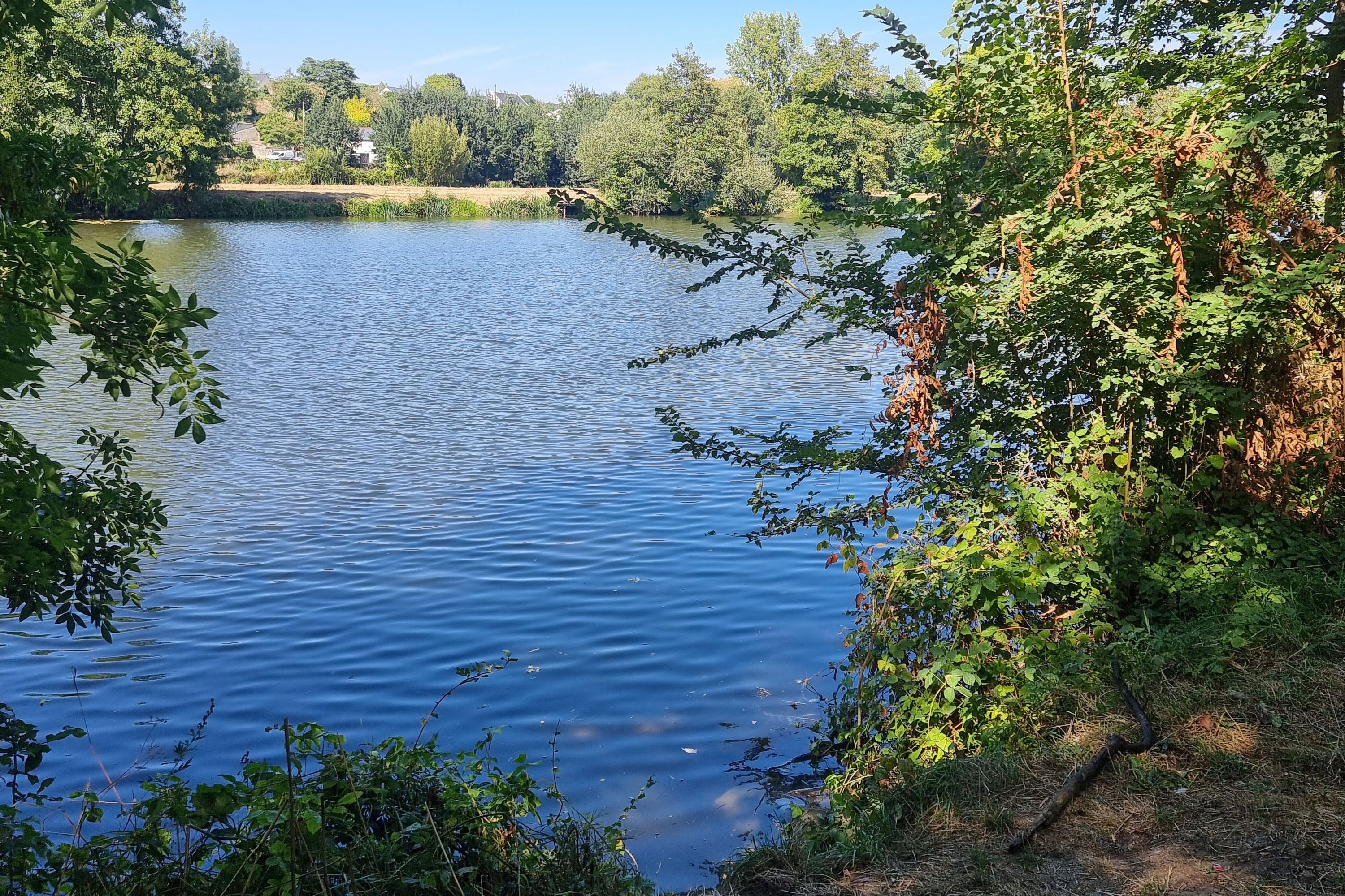 Camping Paradis Les Nobis d'Anjou — 5