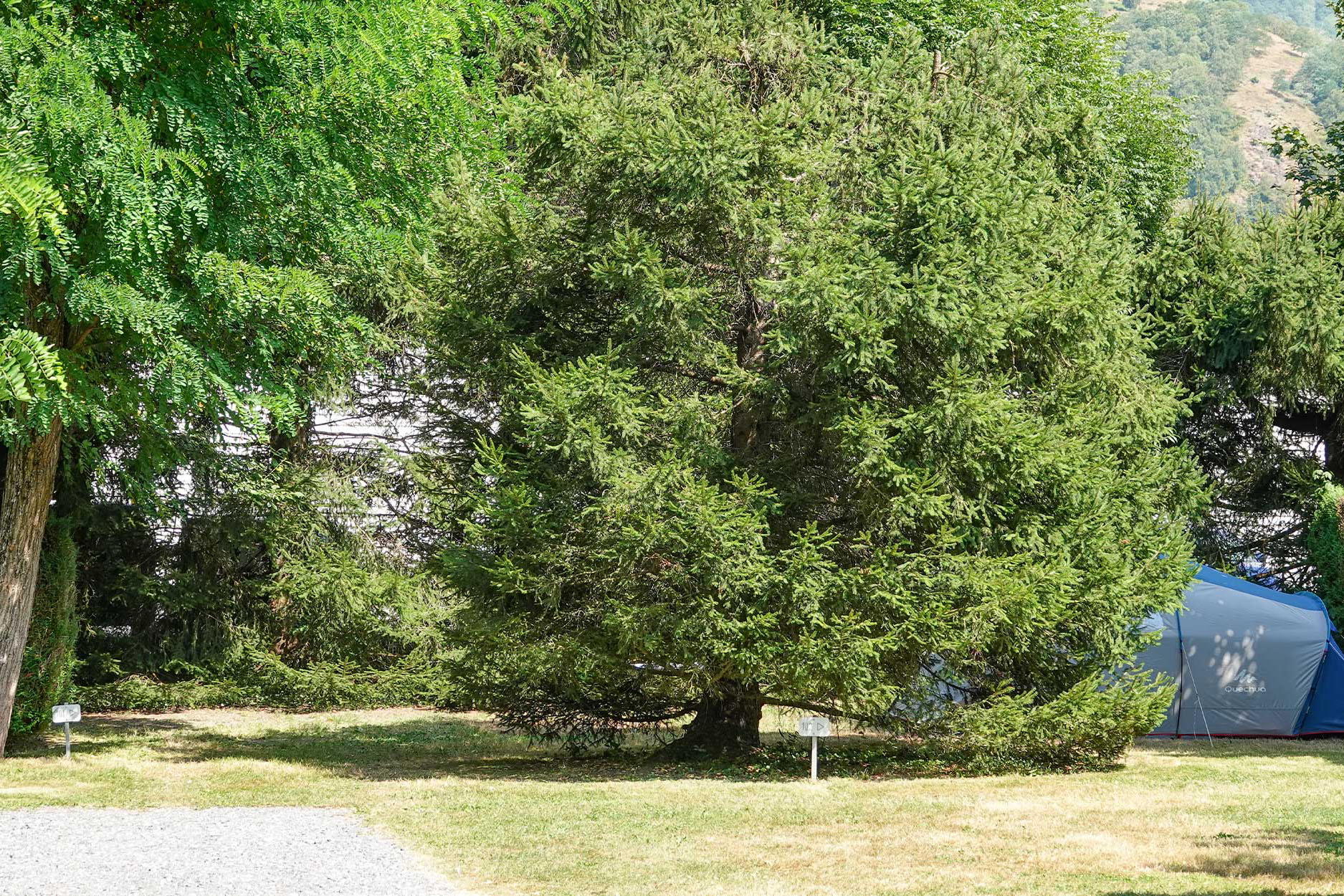 Camping Pradelongue — 5