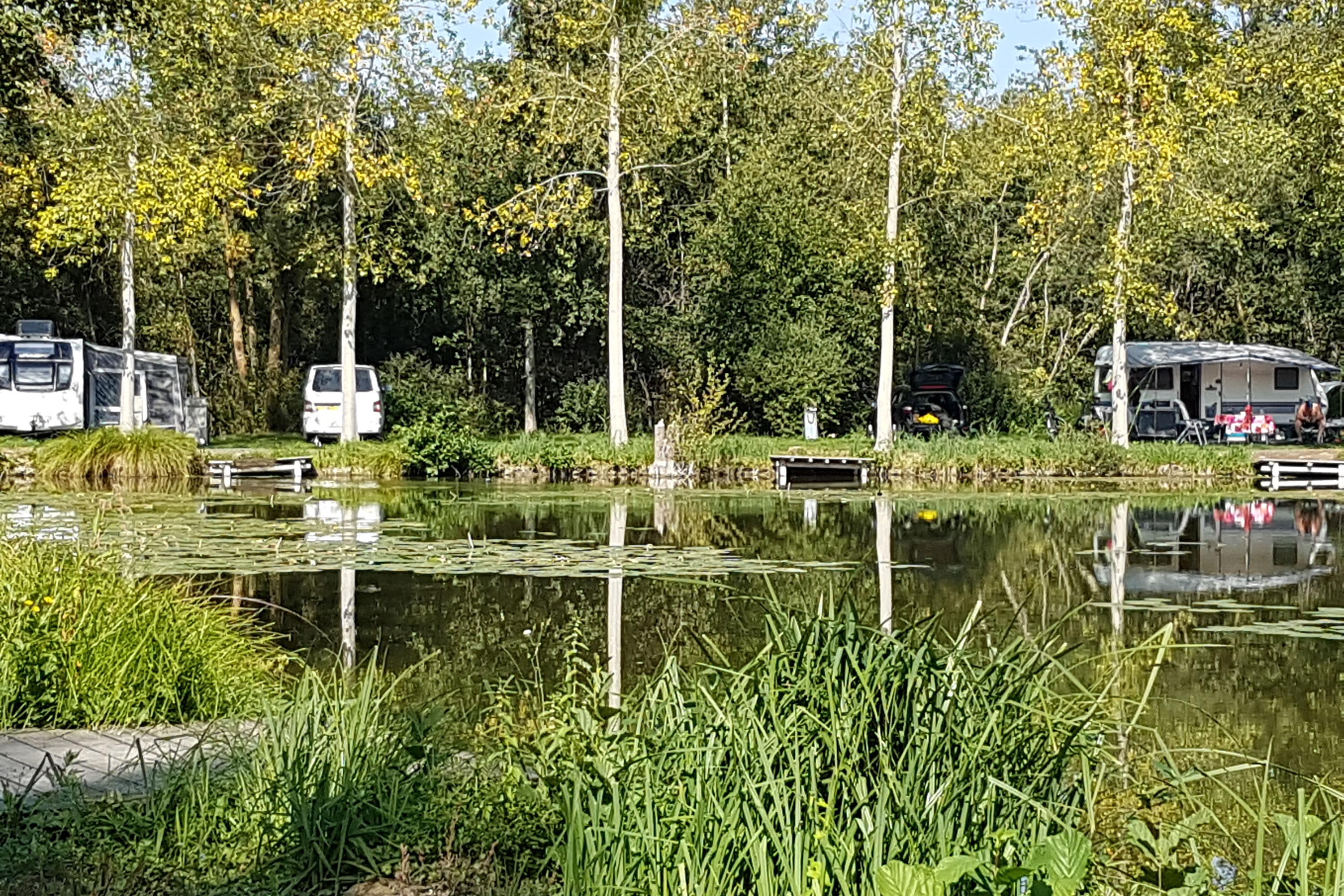 Camping du Vivier aux Carpes — 5
