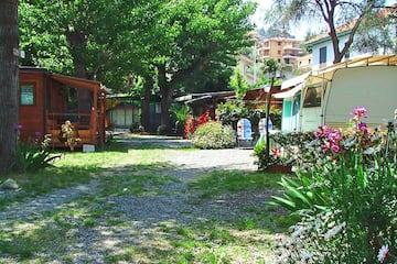 Camping De Wijnstok Camping De Wijnstok