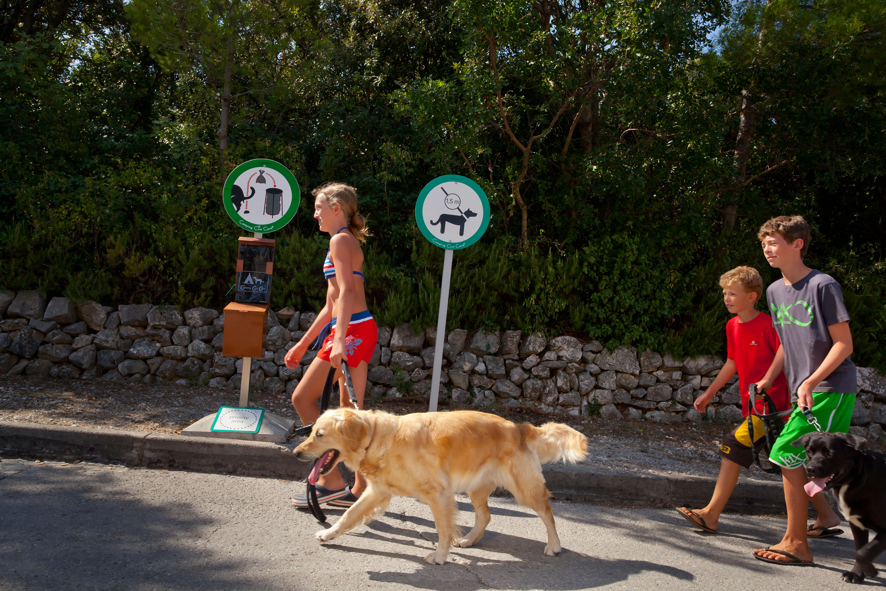 Camping Slatina — 5