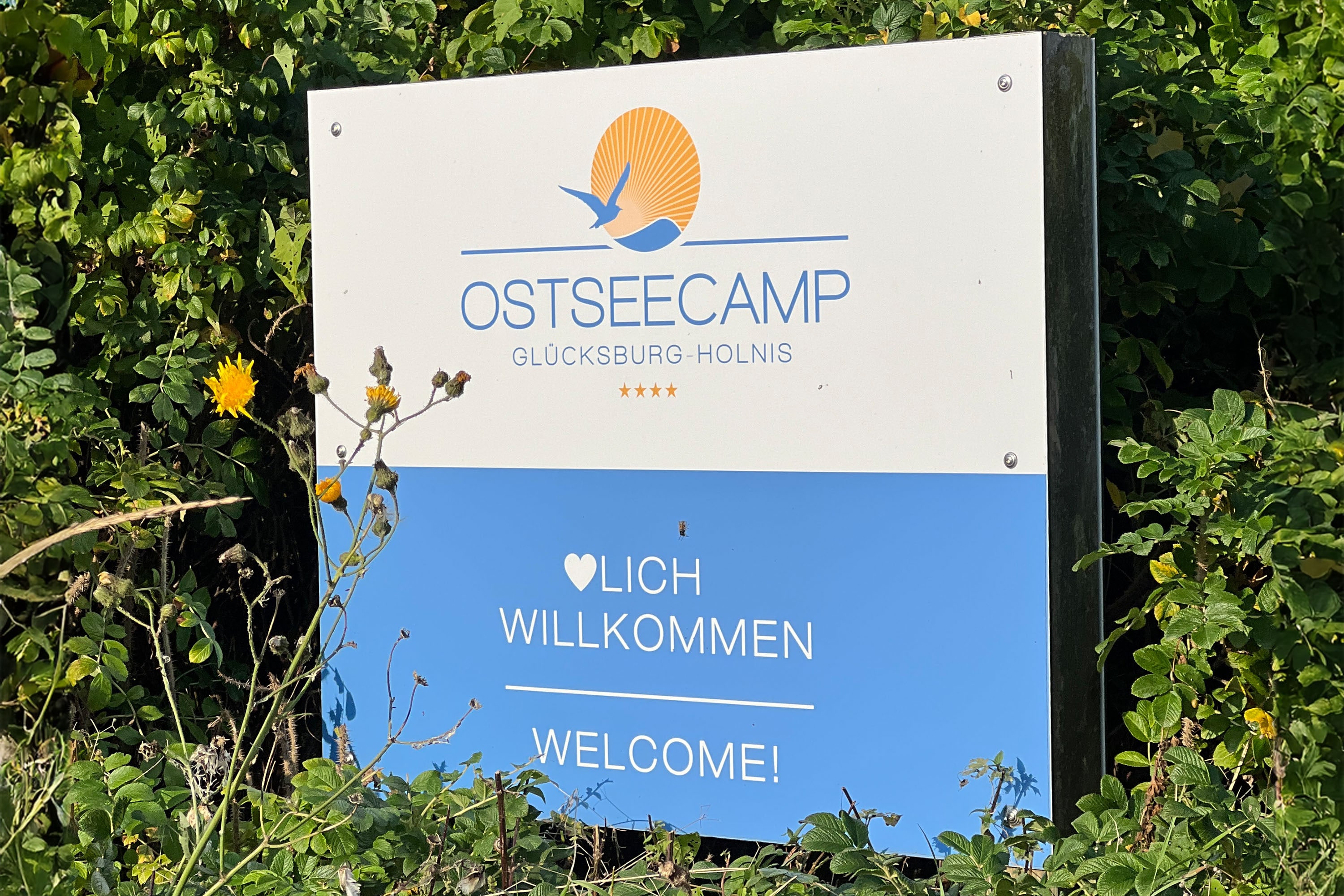 Ostseecamp Glcksburg-Holnis | ACSI