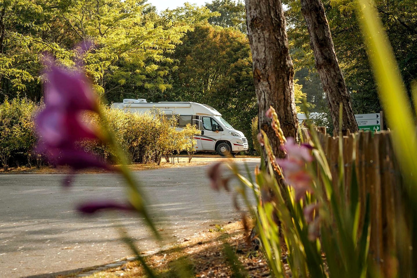 Camping des Gayeulles | ACSI