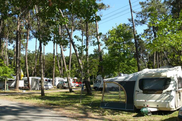 Campsite photo 1