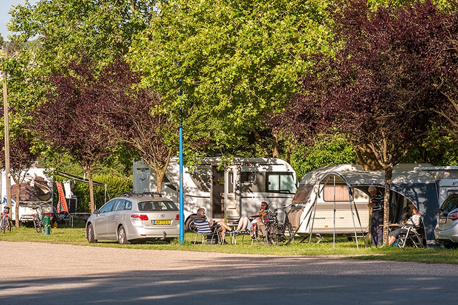 camping vorzeltteppich PREMIUM Vorzeltteppich fr WIGO Rolli Plus