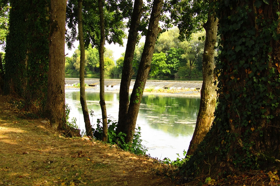 Camping de l'Ile — 5