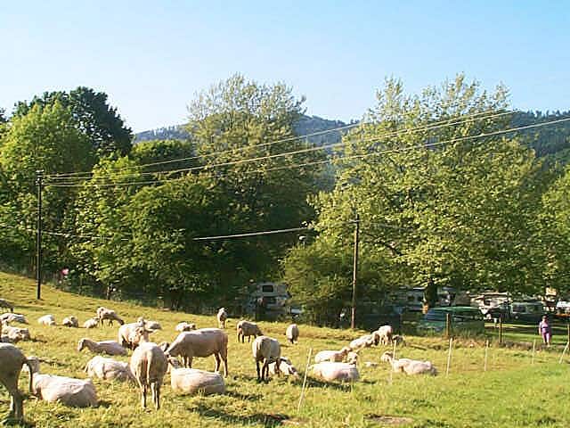 Freiburg Camping Hirzberg | ACSI