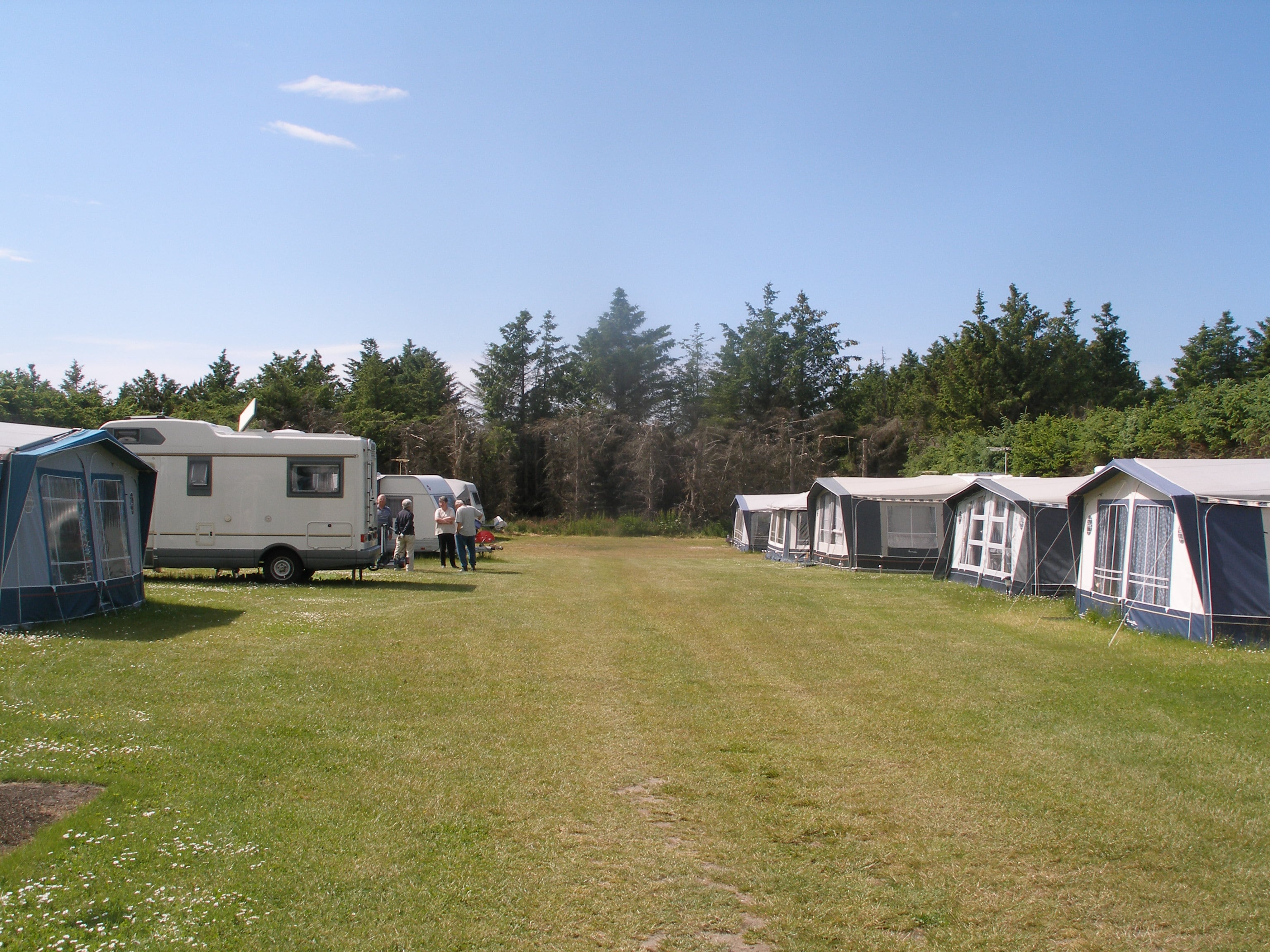 camping gaskocher 1 flammig HOMELUX Gaskocher mit 12 Gaskartuschen, Campingkocher, Camping Gaskoc