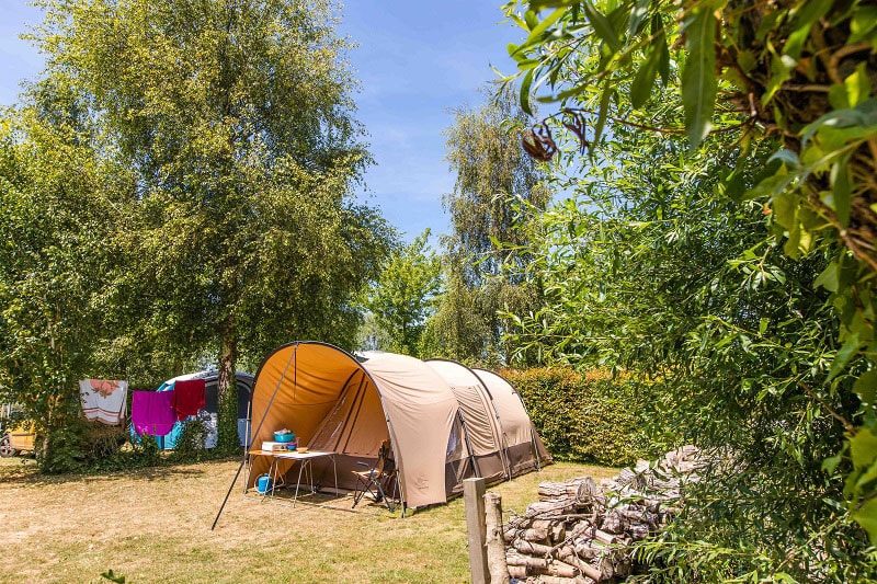 seitenwnde fr markisen TRAVELLIFE Markise Seitenwand Scala XL Wohnwagen Thule Omnistor Passen