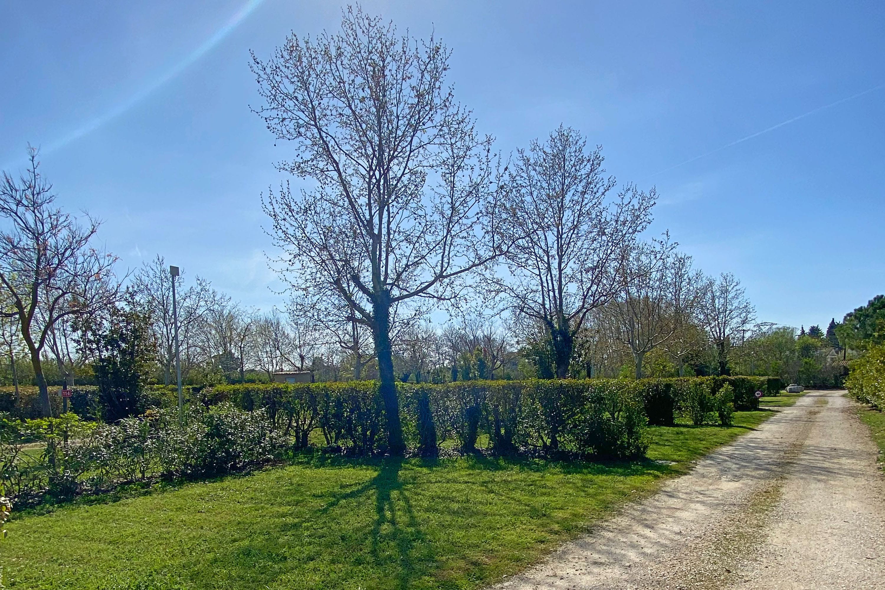 Camping L'Arlesienne — 5