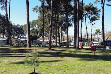 Parque de Campismo de Vila Chã Parque de Campismo de Vila Chã