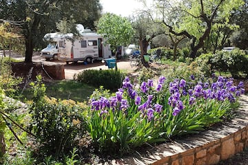 Camping Alquézar Camping Alquézar