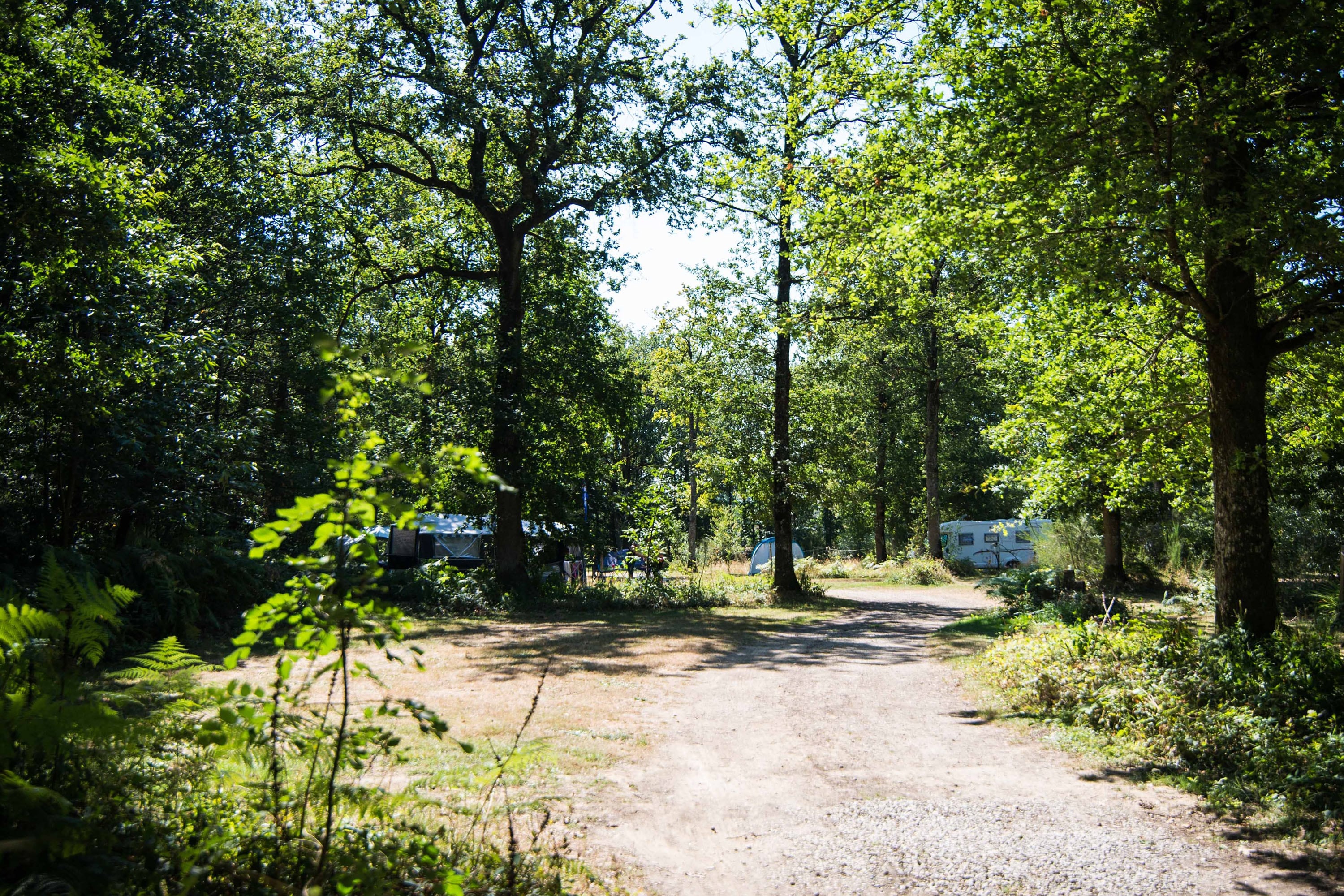 Camping Du Bois de St. Hilaire — 5