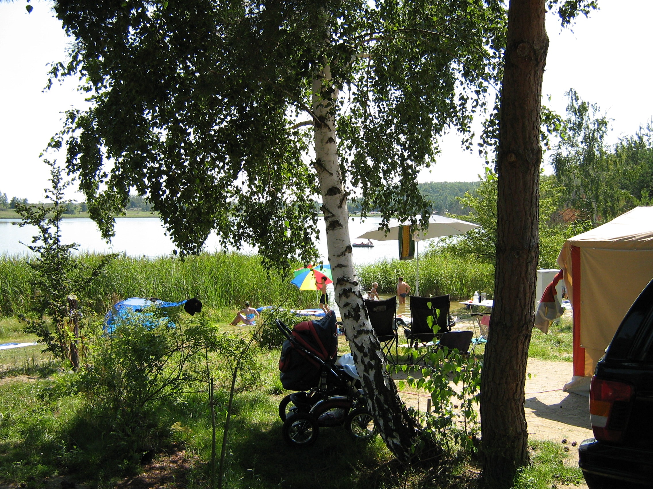tents wall Shop 10'x10' Half Sidewall Kit: Adaptable Tent Setup Tent - 10' Backwall (printed one side) / Tent main image 1