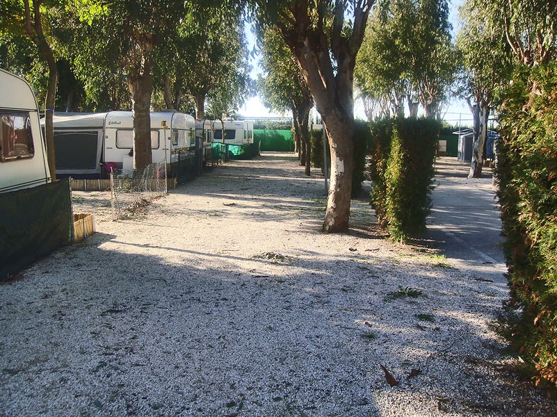 Camping El Naranjal | ACSI