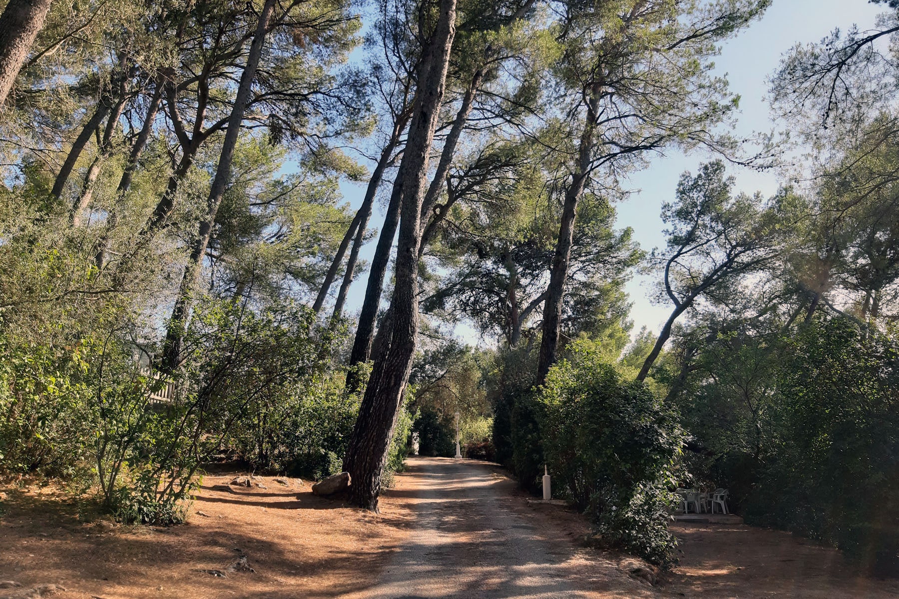 Camping Le Beau Vezé — 5