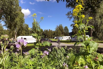 Hammarstrands Camping Hammarstrands Camping