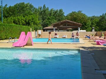 Camping La Grenouille Camping La Grenouille