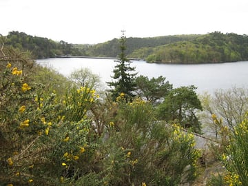 Camping Le Point de Vue de Guerlédan