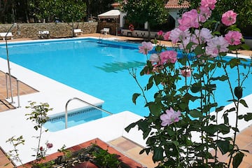 Camping Los Eucaliptos