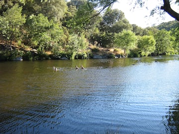 Vega de Francia Vega de Francia