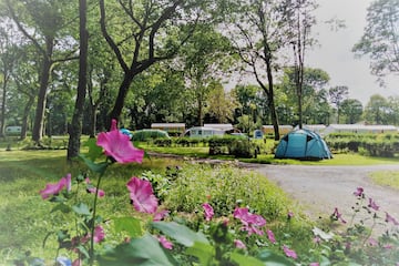 Camping Le Lac ô Fées - Image 1