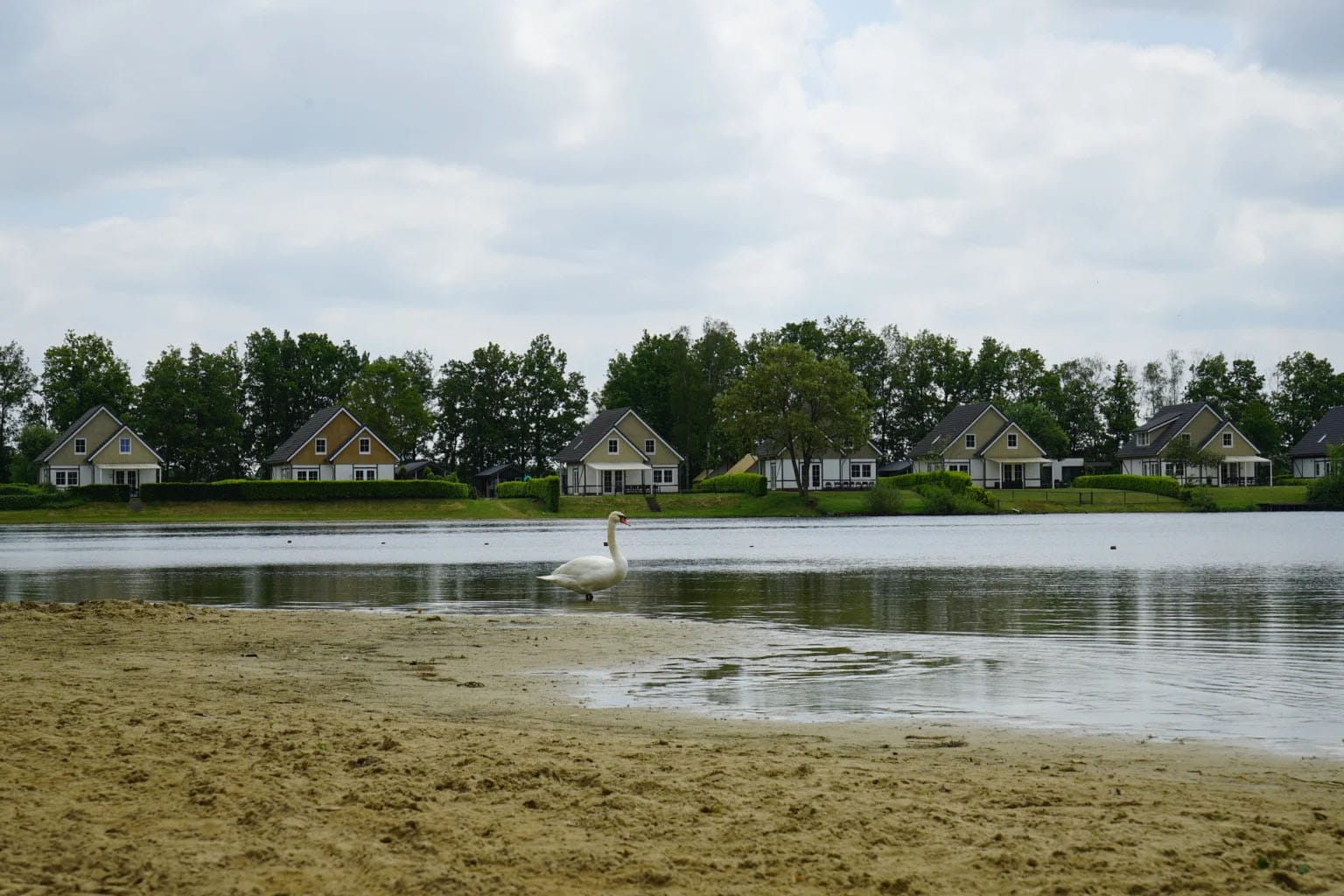 EuroParcs / Limburg — 5