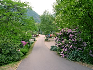 Camping Valle Romantica Camping Valle Romantica