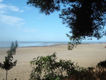 Camping Al Bosco Camping Al Bosco