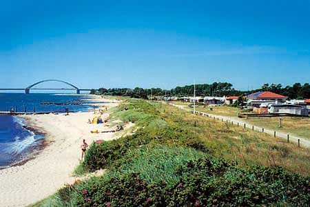 camping matratzen Tesla Camping Matratze 
