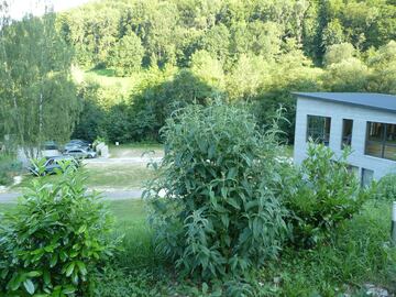 Campingplatz Winkelbachtal Campingplatz Winkelbachtal