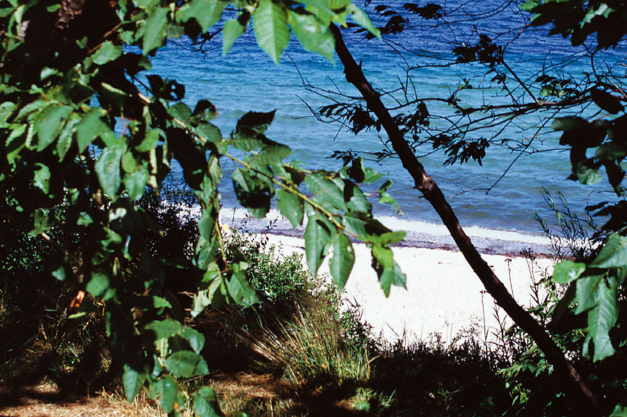 Gåsevig Strand Camping — 5