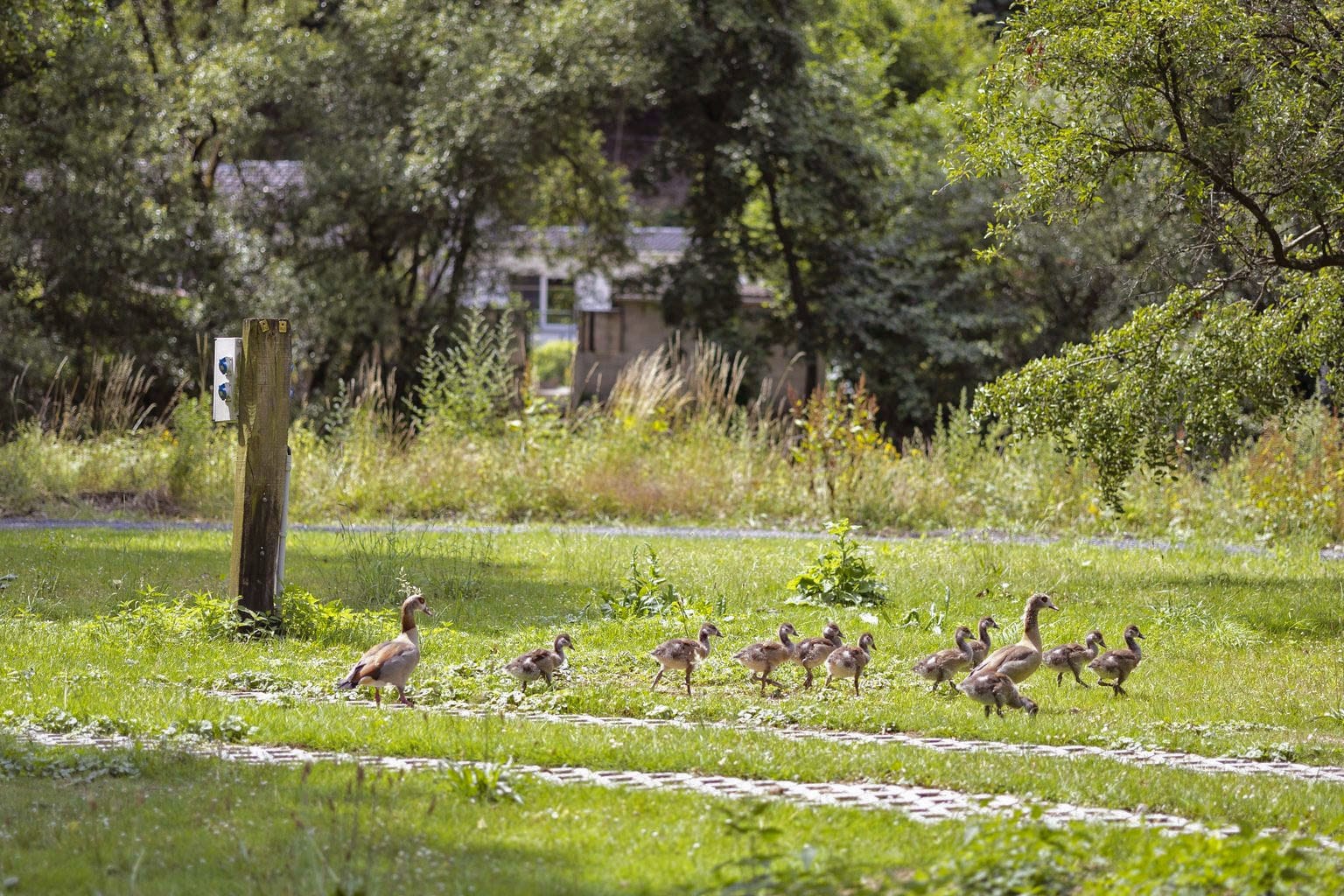 ArdenParks Comblain au Pont — 4