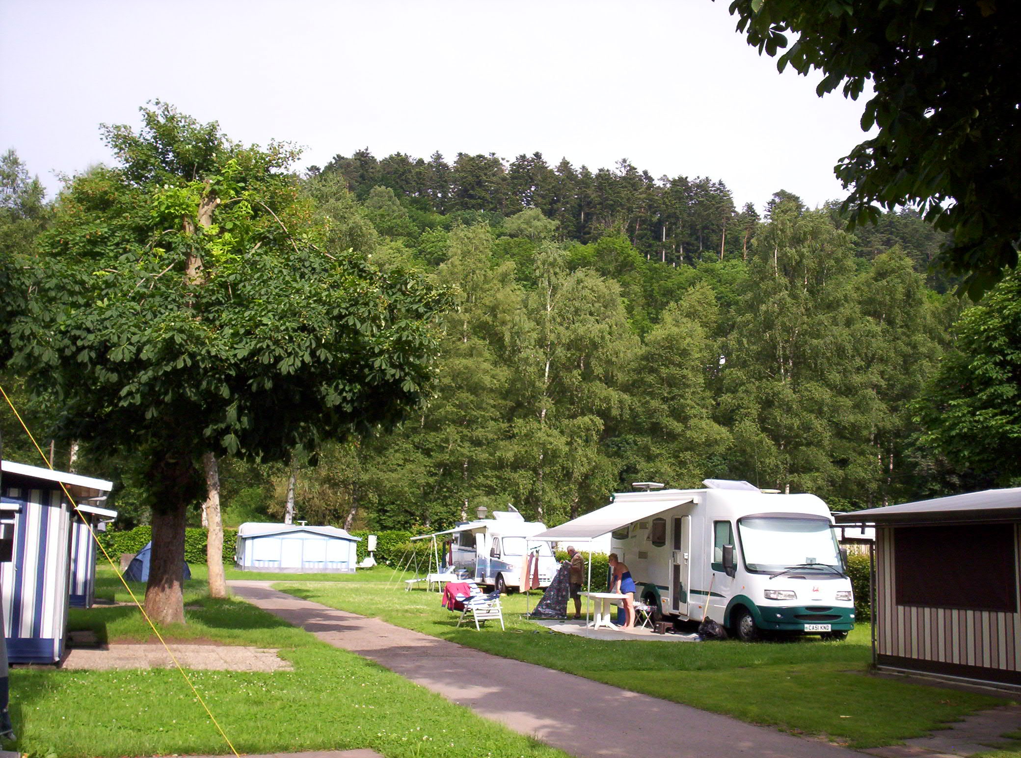 bester mckenschutz camping Tarp Fly Mckennetz  Bildschirmhaus Hngematte fr ultimativen Schutz