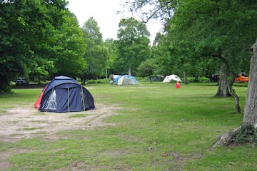 Hollands Wood Camping in the forest Hollands Wood Camping in the forest